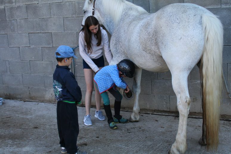 Kinderreitkurs Juli 2018